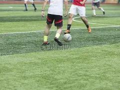 马龙助力男,团夺冠,速度之王,澳洲幸运10计划官网,澳洲幸运10开奖结果,澳洲幸运10开奖直播,澳洲幸运10官方平台