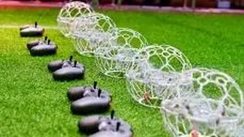 澳洲幸运10计划官网 资讯 135429 2ae